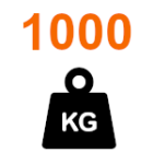 Waga bramy do 1000 kg